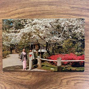 Vintage  SF California Souvenir Travel Postcard